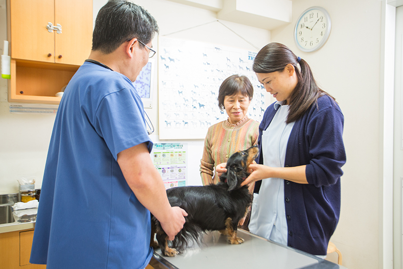 ターミナルケア