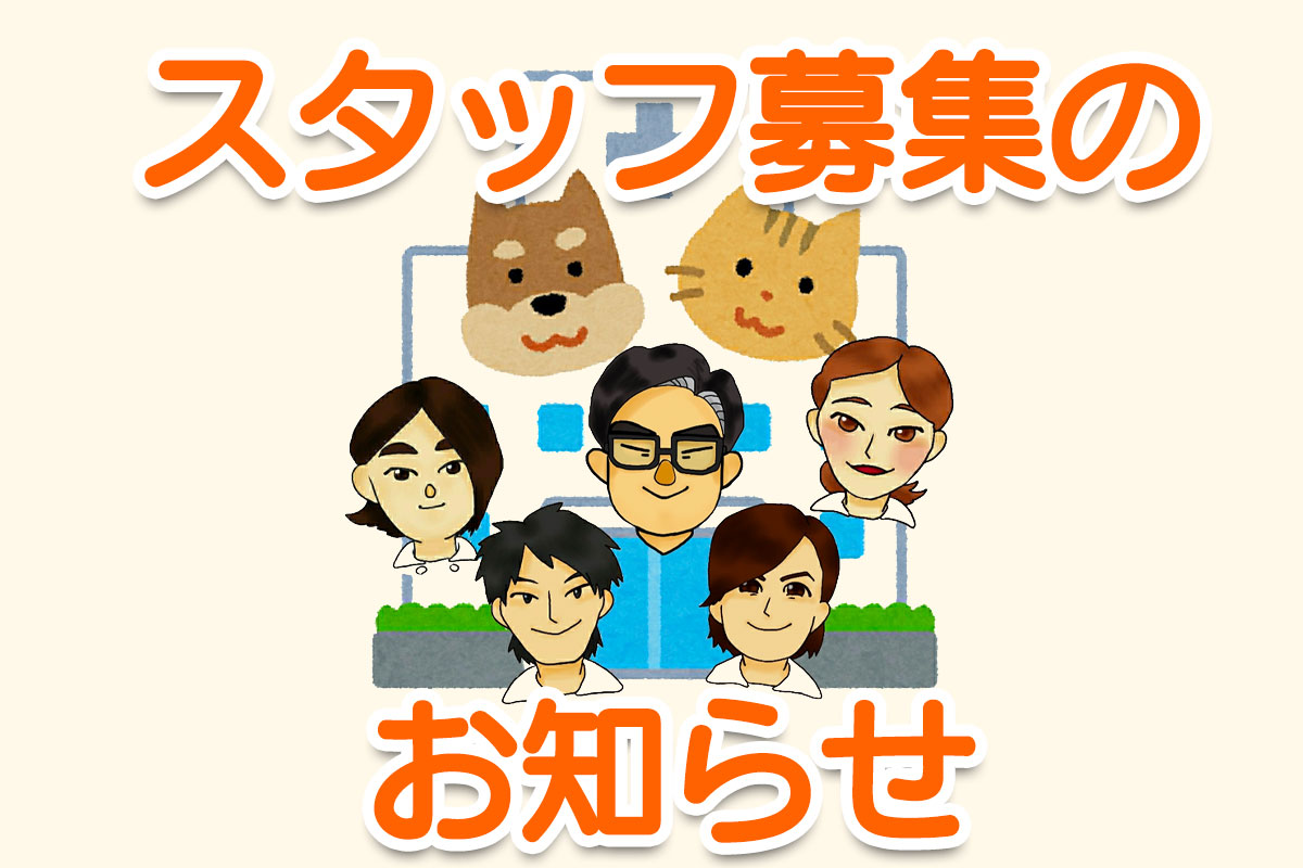 スタッフ募集のお知らせ スタッフ募集のお知らせ