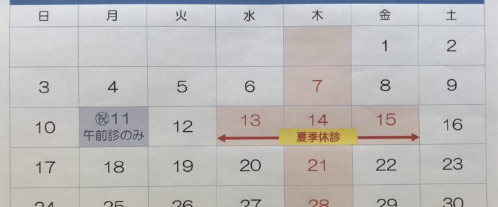 🔵８月のお知らせ🔵